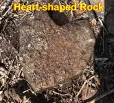 Heart-shaped Rock.webp