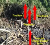 Triangle of Trees.webp