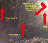 Triangle of Trees 2.webp