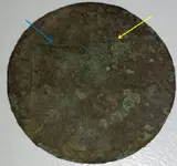 Coin_Close_3.webp