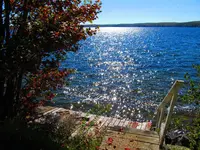 IMG_0087.webp