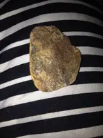 image-706059211.webp