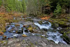 008900bilean.webp