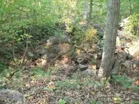 101_4237.webp