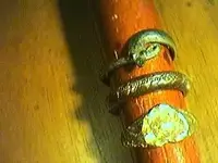 three rings.webp