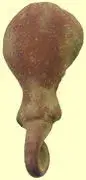 mount9.webp