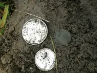image-149920030.webp