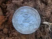 100E6607 (Large)_2.webp