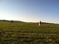 post-14-0-53628300-1383072786_thumb.webp post-14-0-53628300-1383072786_thumb.webp