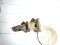 DSCF2984.webp