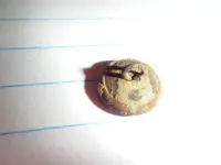 DSCF2979.webp