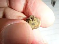 DSCF2981.webp
