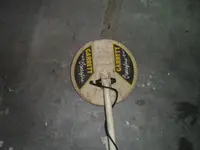 detector 006.webp