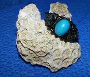 20131011_152725.webp