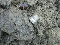 100_2847.webp