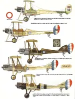 be2.webp