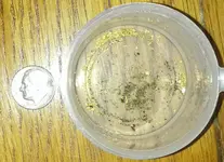 gold.webp