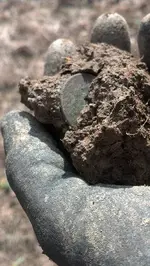 Copper in Dirt 1.webp