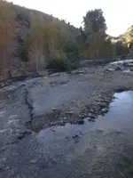 image-1719018852.webp