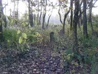 DSCF3022.webp