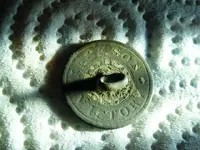 DSCF3054.webp