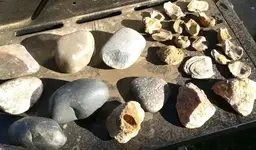 2013-10-11 16.13.11-1.webp