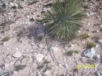 100_2445.webp