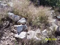 100_2464.webp