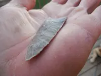 DSCN3488.webp