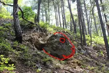 rabbit corner.webp