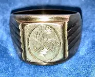 gold ring.webp