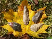 20131102_124911.webp