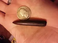 20131015_233137.webp