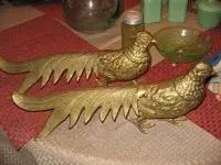 IMG_2256.webp