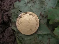 10-16-13 William and Mary Gold guinea.webp
