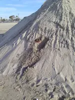 KIMG0052.webp KIMG0052.webp