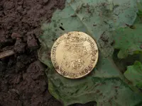 10-16-13 William and Mary Gold guinea rev.webp