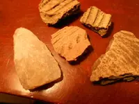 DSCN7131.webp