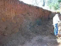 Blue mud and more quartz 006.webp