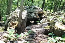 ground hoyo resized.webp