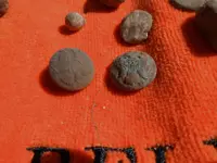 DSCN0707.webp