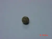 DSC00461.webp