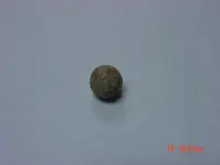 DSC00462.webp