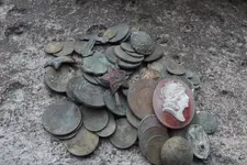 finds.webp
