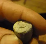 DSC00257bullet.webp
