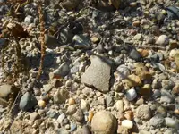 DSCN7097.webp