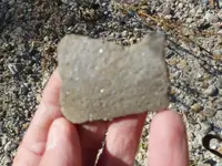 DSCN7098.webp