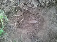 2013-11-02 little league field 2.webp