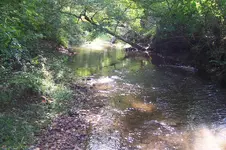 100_4311.webp