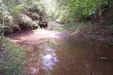100_4318.webp